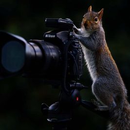 Фотограф - указания на профессию