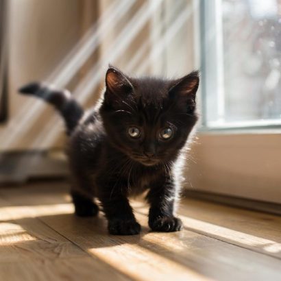 Марс в Скорпионе у женщины