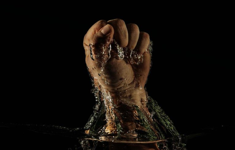 Читать Солнцу в Раке, Рыбах