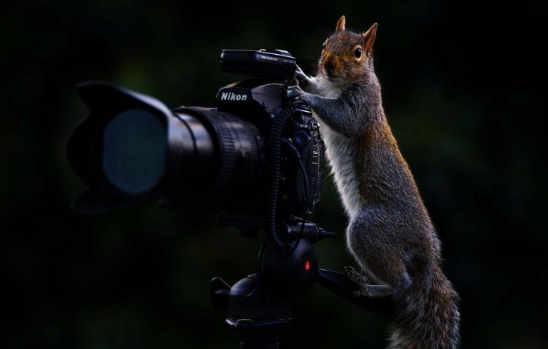 Фотограф - указания на профессию