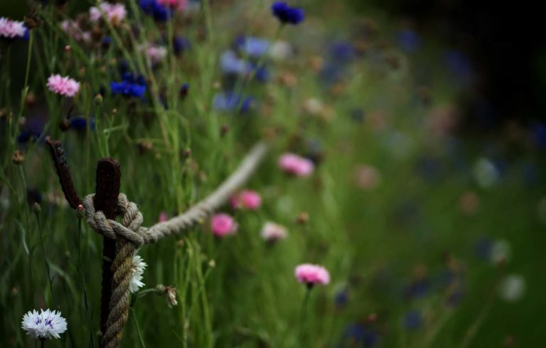 12 дом гороскопа