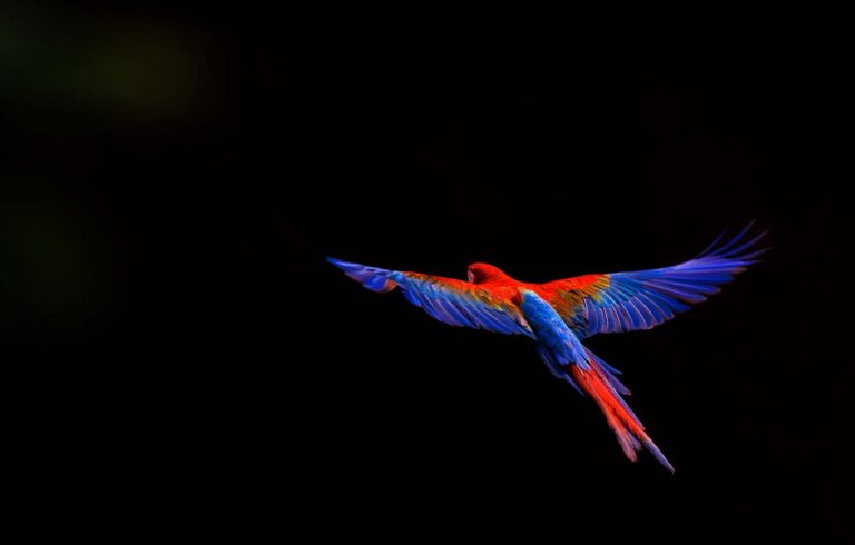 Управитель 6 дома в 11