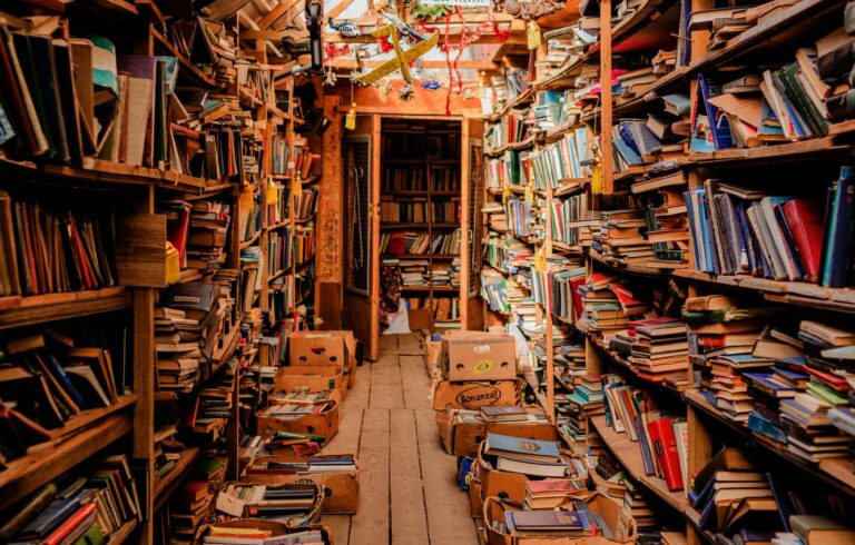 Топ-5 книг для новичков