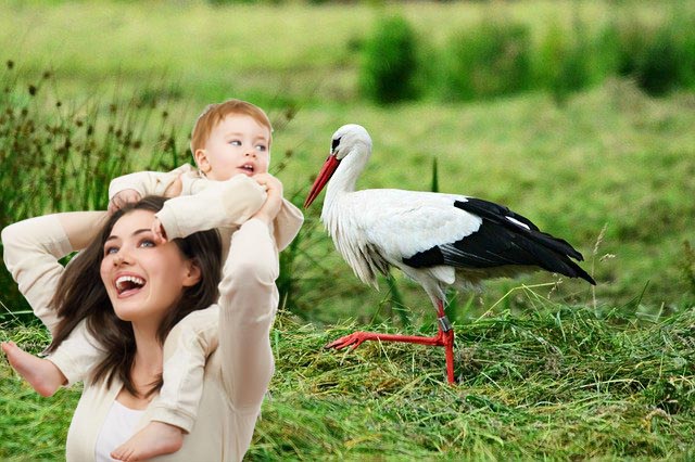 Асцендент в знаках